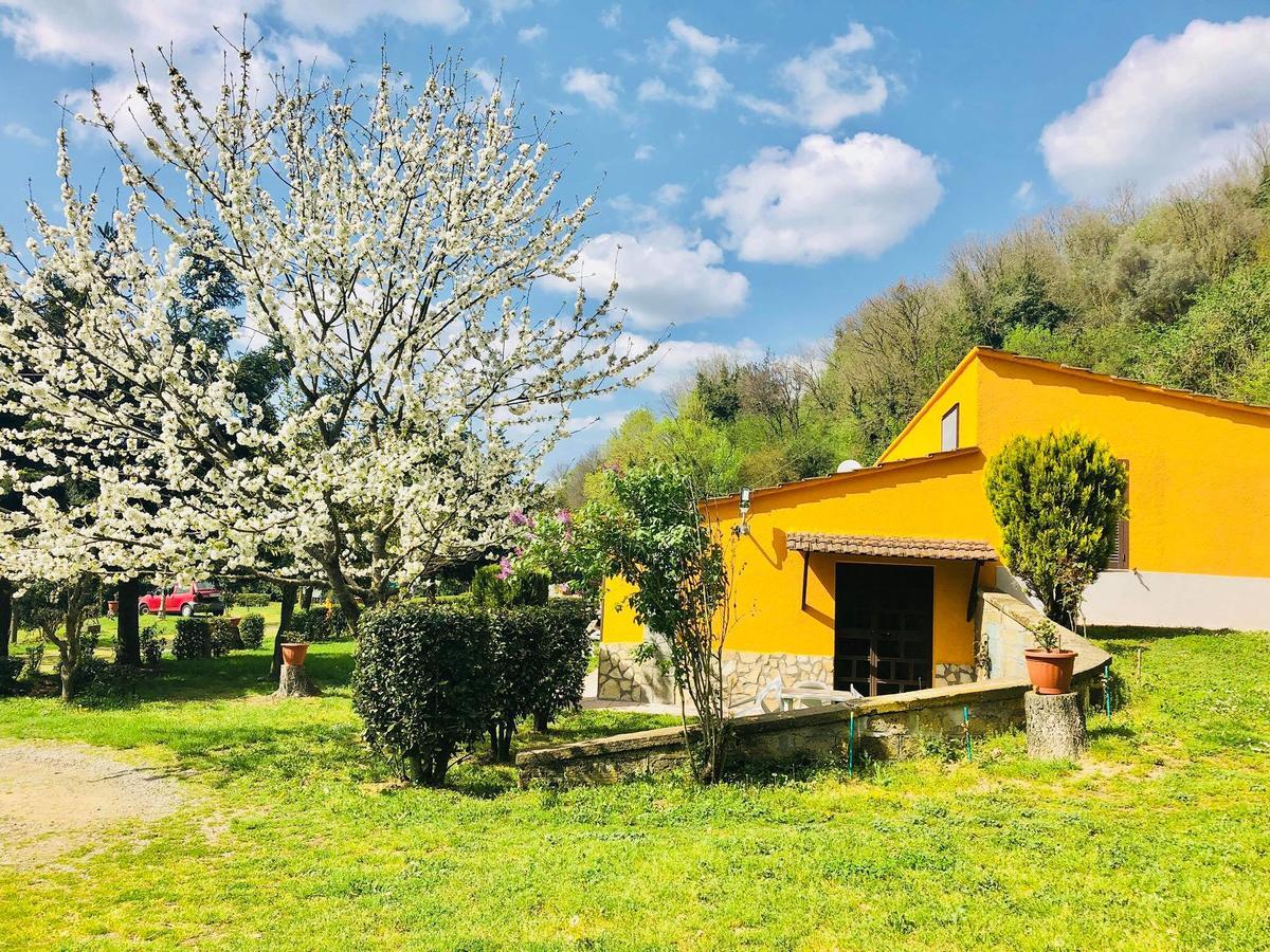 Agriturismo Pianezze Villa Grotte di Castro Exterior foto